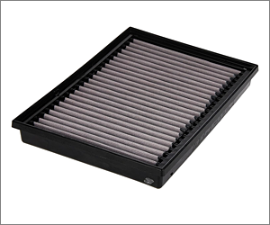 AEM Performance Engine Air Filter